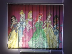 Электрокарнизы Жалюзи Маркизы Рулонные шторы