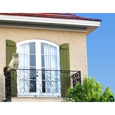 французские балконы Кривой Рог