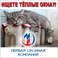 Ищете действительно тёплые окна?