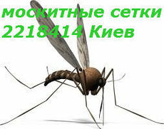 Сетки на окна Киев, 140 гривен- штука