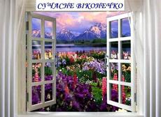 Жалюзи любого типа.