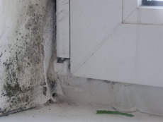 Устранения запотевания окон. Ремонт и регулировка окон и две