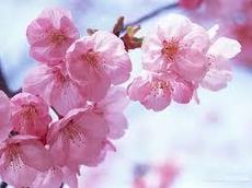 Ремонт окон ПВХ