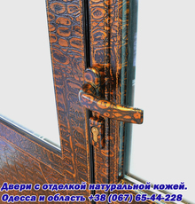 Входные двери из алюминиевого профиля.