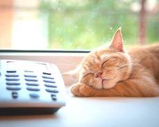 Остекление домов, квартир, коттеджей