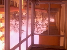 Балконы лоджии