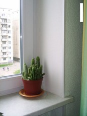 Укоси професійно