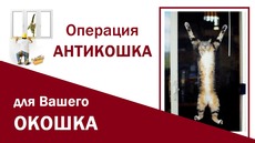Операція антикішка для Вашої віконця.