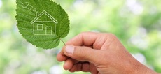 Вікна Green Line від виробника Стімекс