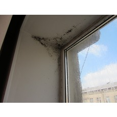 Новые окна - новые проблемы?