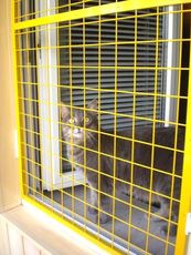 Антикошка - защитные сетки на окна и двери