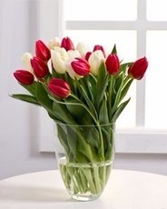 Остекление балконов лоджий. Недорого!