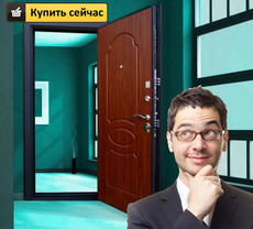 Входная Металлическая Дверь в Квартиру