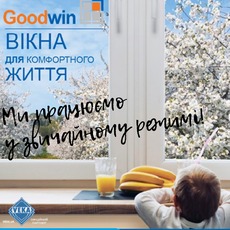 Вікна VEKA від Goodwina в Дніпрі